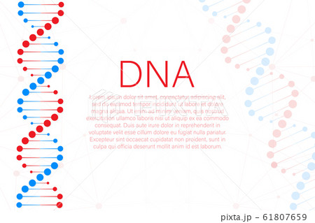 DNA strand symbol. DNA genetics. vector stock DNA strand symbol. DNA genetics. vector stock 61807659