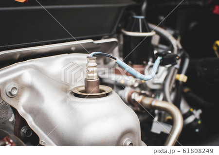 Oxygen sensor O2 in the exhaust pipe. 61808249