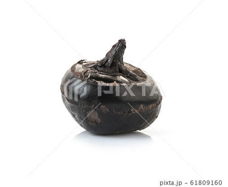 Isolated macro image of water chestnut Isolated macro image of water chestnut 61809160