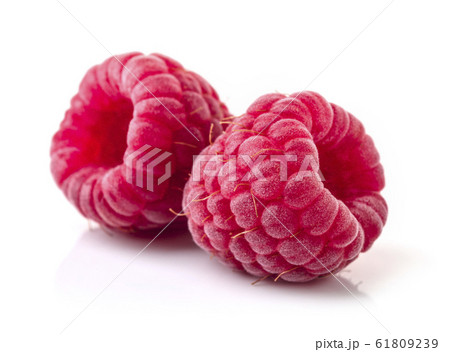 Raspberry in closeup Raspberry in closeup 61809239