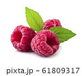 Raspberry in closeup 61809317