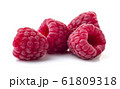 Raspberry in closeup 61809318