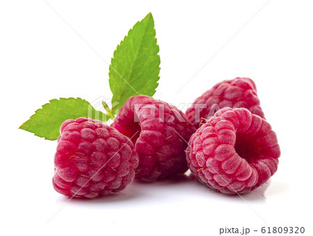 Raspberry in closeup Raspberry in closeup 61809320