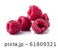 Raspberry in closeup 61809321
