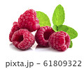 Raspberry in closeup 61809322