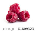 Raspberry in closeup 61809323