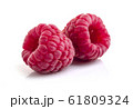 Raspberry in closeup 61809324