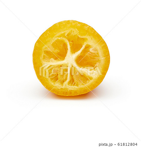 Kumquat Isolated on White Background 61812804