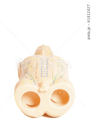 Medical acupuncture model of human isolated on Medical acupuncture model of human isolated on 61812827