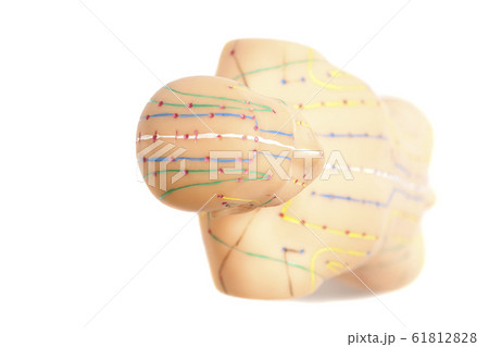 Medical acupuncture model of human isolated on Medical acupuncture model of human isolated on 61812828