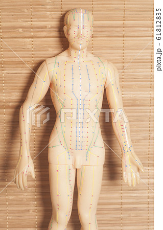 Medical acupuncture model of human on wooden 61812835