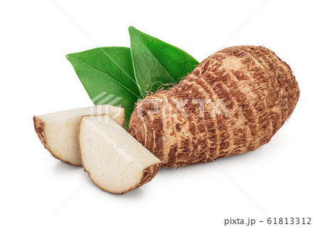 fresh taro root with slices and leaf isolated on white background fresh taro root with slices and leaf isolated on white background 61813312