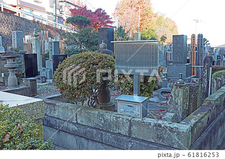 高幡不動 61816253