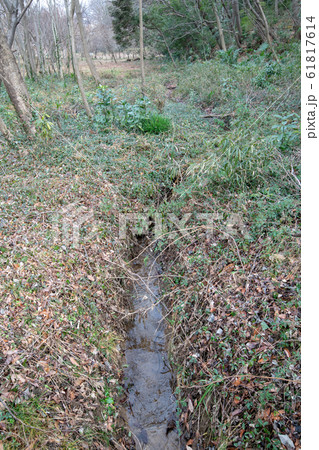 緑のトラスト保全8号地　景勝地　湧水地　埼玉県北本市 61817614