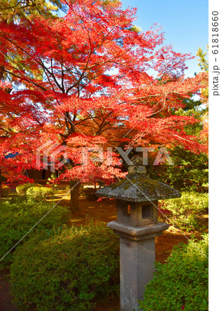珠姫の寺 天徳院 紅葉 金沢市 珠姫の寺 天徳院 紅葉 金沢市 61818660