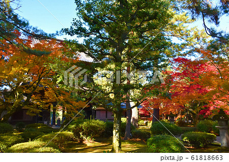 珠姫の寺 天徳院　紅葉　金沢市 61818663