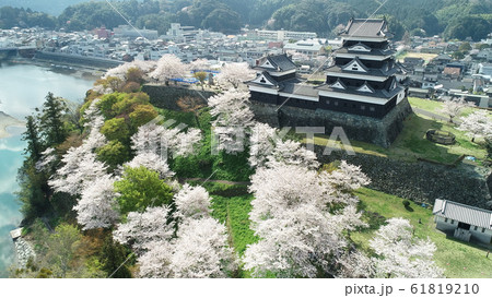 大洲城の桜空撮、桜に囲まれて 61819210
