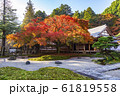 雷山千如寺大悲王院の紅葉 61819558