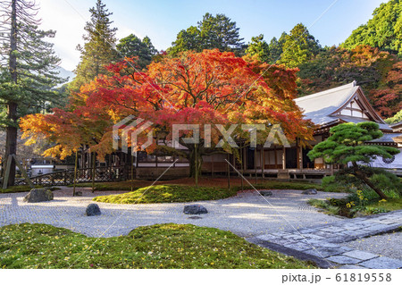 雷山千如寺大悲王院の紅葉 雷山千如寺大悲王院の紅葉 61819558