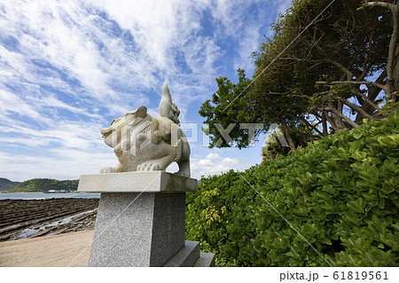 青島 青島 61819561