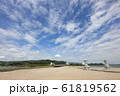 青島 61819562