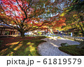 雷山千如寺大悲王院の紅葉 61819579