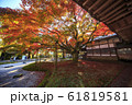 雷山千如寺大悲王院の紅葉 61819581