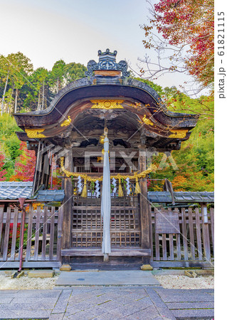 京都　秋の鍬山神社 61821115