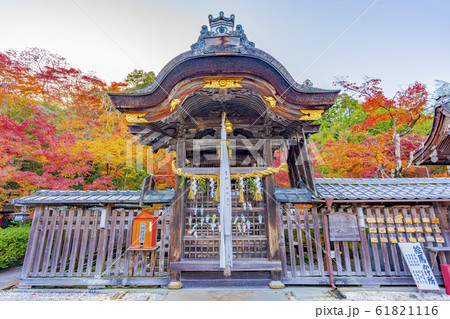 京都　秋の鍬山神社 61821116