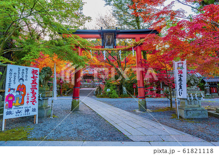 京都　秋の鍬山神社 61821118