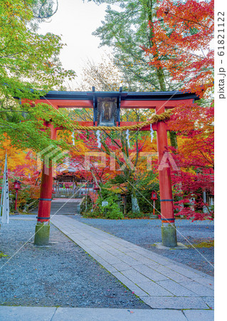 京都　秋の鍬山神社 61821122