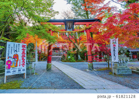 京都　秋の鍬山神社 61821128