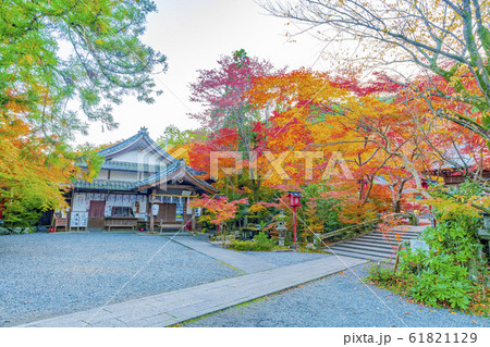 京都　秋の鍬山神社 61821129