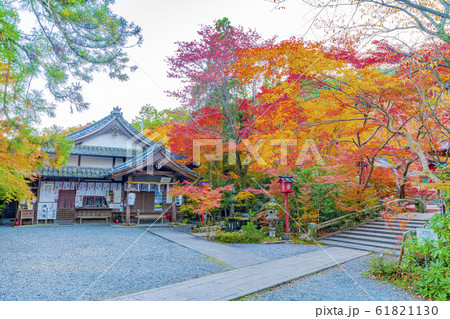 京都　秋の鍬山神社 61821130