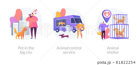 Pet maintenance vector concept metaphors 61822254