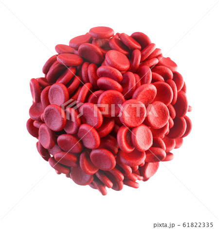 Red Blood Cells or Erythrocytes 61822335