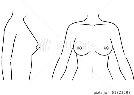 線画 女性の胸のイラスト素材