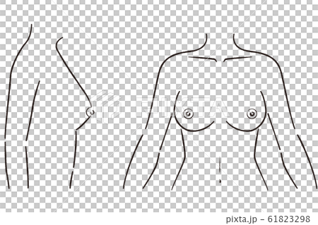 線画　女性の胸 61823298
