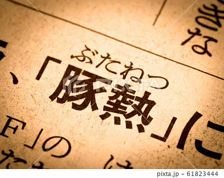 「豚熱」の見出し 61823444