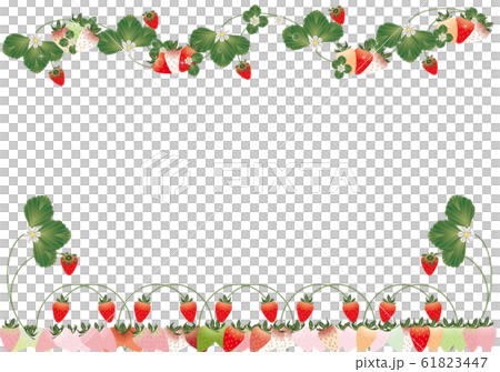 草莓葉子和花朵彩色草莓插畫背景素材 61823447