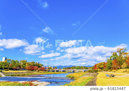 京都　秋の鴨川風景　 61823487