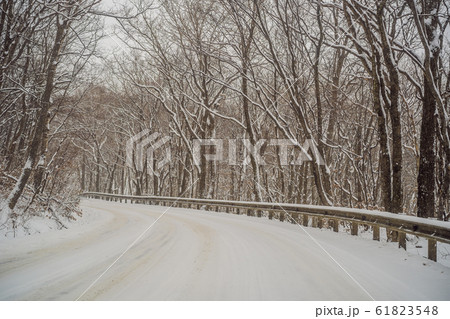 Winter road through snowy fields and forests Winter road through snowy fields and forests 61823548