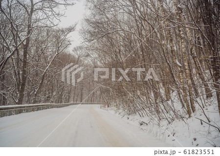Winter road through snowy fields and forests Winter road through snowy fields and forests 61823551