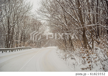 Winter road through snowy fields and forests 61823552