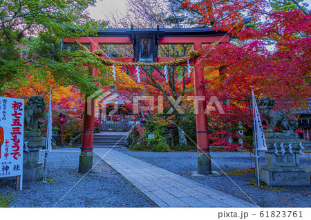 京都　秋の鍬山神社　 61823761