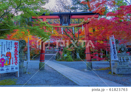 京都　秋の鍬山神社　 61823763