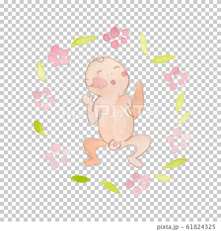 白色背景 白底 illustration 61824325