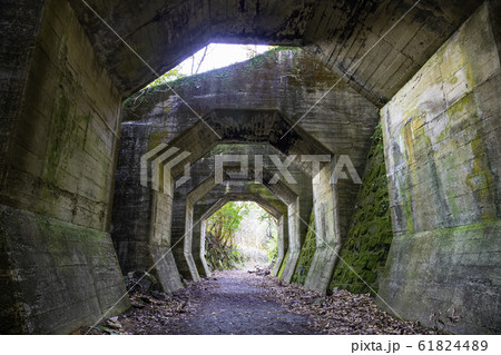熊本県　美里町の熊延鉄道遺構　八角トンネル　 61824489