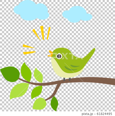 白眼在樹枝上吱吱作響 61824495