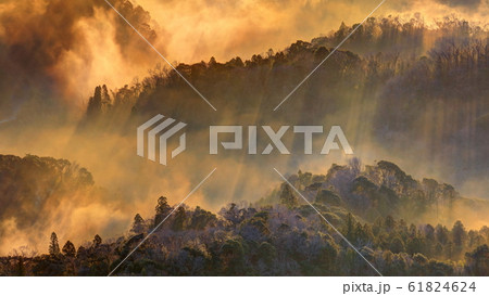 朝靄たなびく九十九谷の朝 61824624